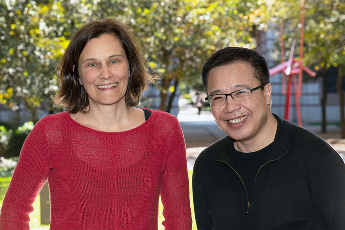 Physicists Silke Paschen and Qimiao Si
