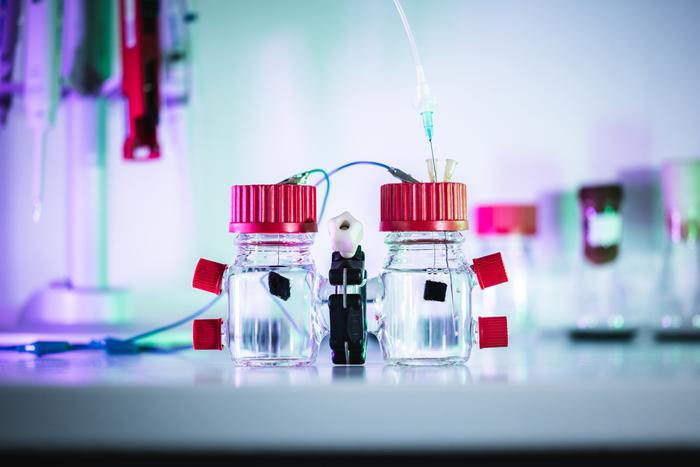 Flasks containing the electricity-producing E. coli.