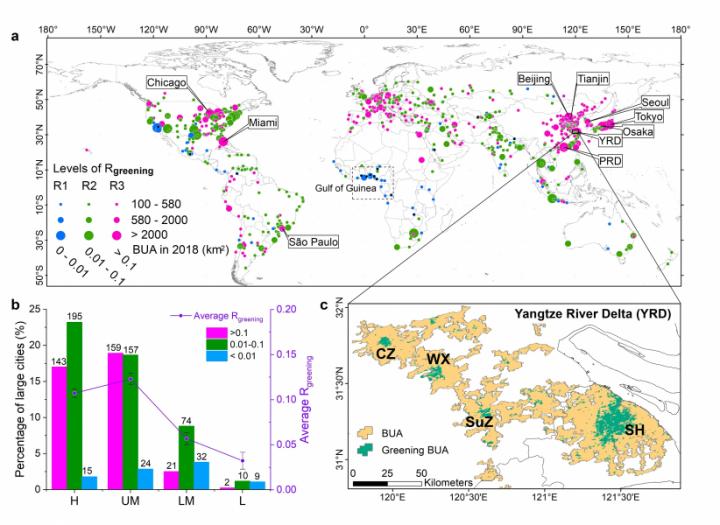 Distribution of large cities with BUA