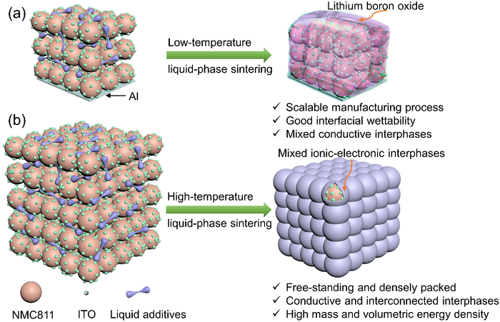 Design of solid-state composite electrodes based on the liquid-phase sintering technique.