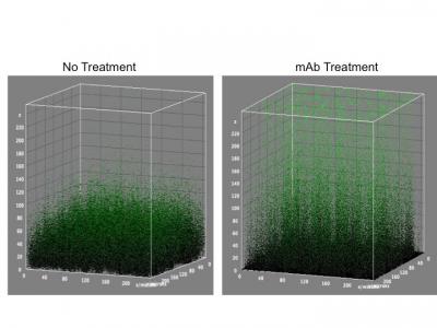 New Immunotherapeutic Strategy Shows Promise in Eradicating Potentially Life-Threatening Biofilms