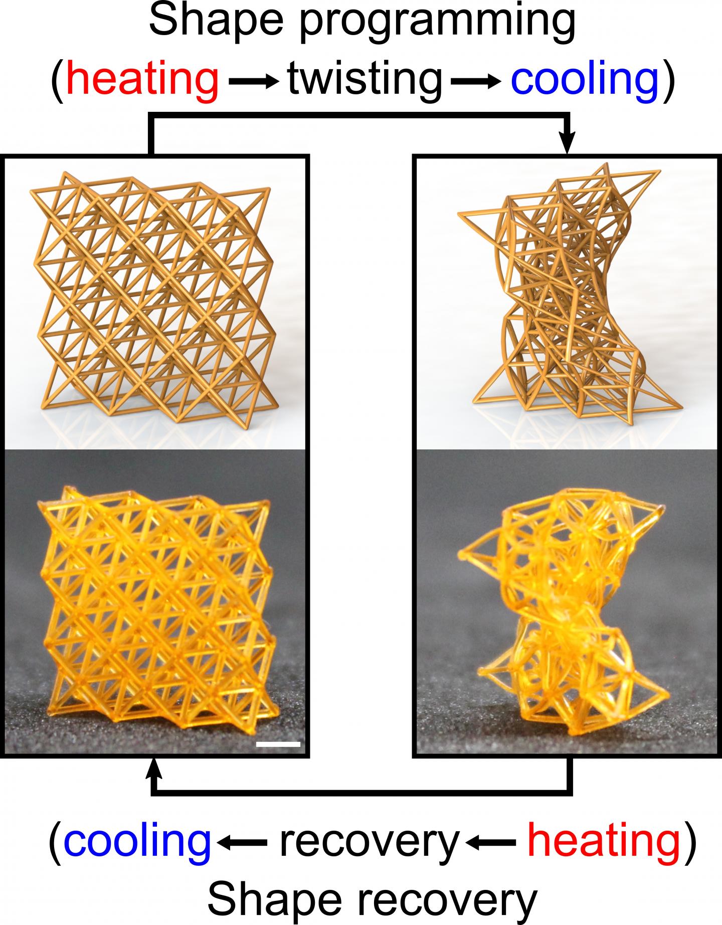 4D-Printed Metamaterials