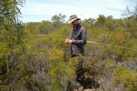 Kwongan Reveals Dirty Secrets of the Australian Outback