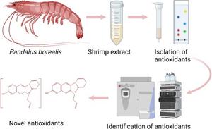 Graphical Abstract