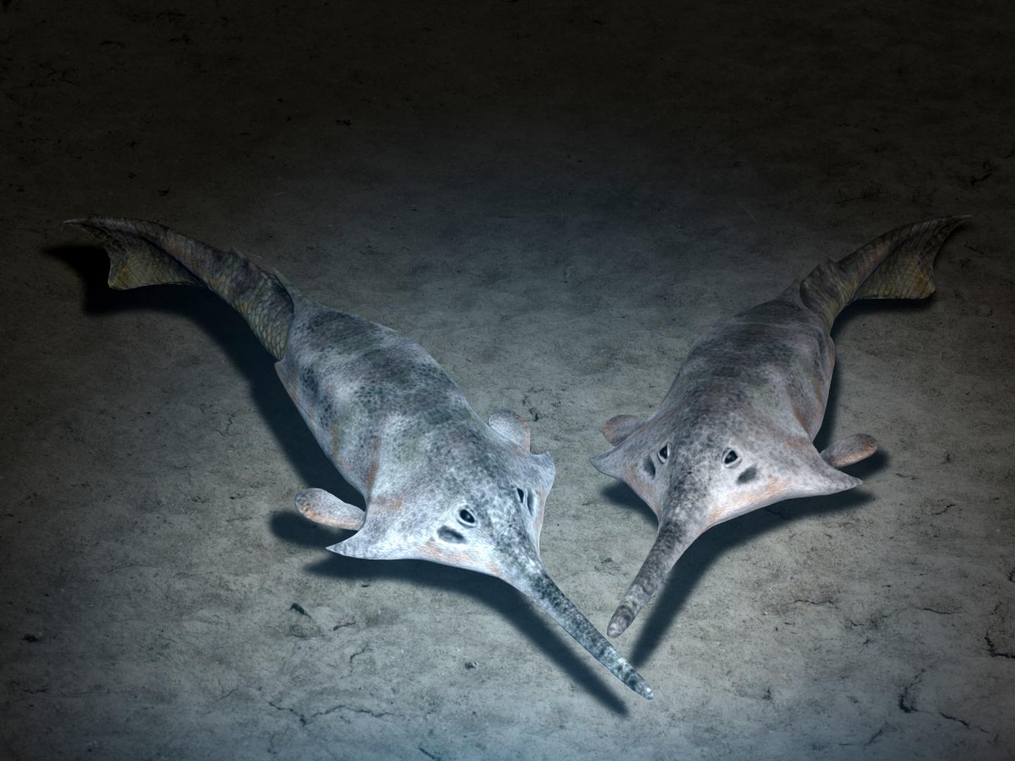 The Seat of Fish Diversification