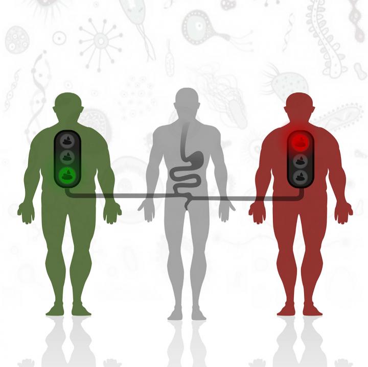 Fecal Transplant and Insulin Sensitivity
