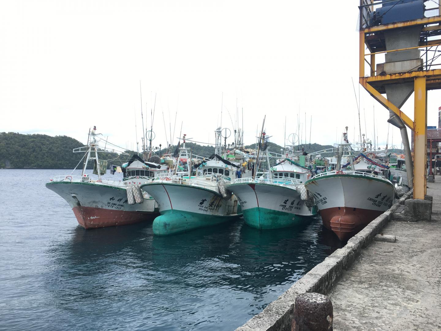 Fishing Boats in Palau