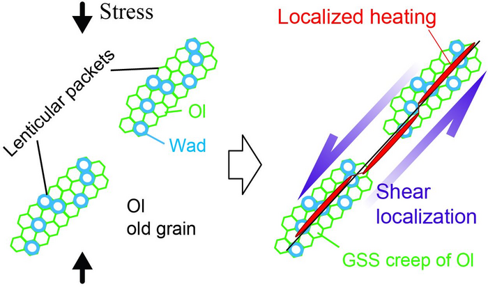 Faulting triggered by the phase transition of olivine