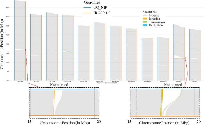 Fig.2