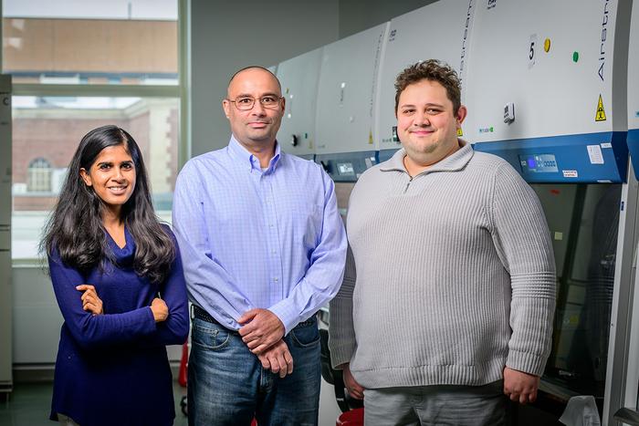 Professor Pablo Perez-Pinera, center, with graduate students Shraddha Shirguppe, left, and Angelo Miskalis, led a team that applied the tool to reduce proteins associated with Alzheimer’s disease in mice.