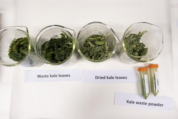 NTU Singapore scientists develop a sustainable way to convert kale waste into products for health and personal care