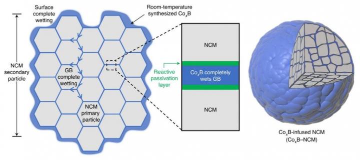 Schematic coating-plus-infusion microstructure