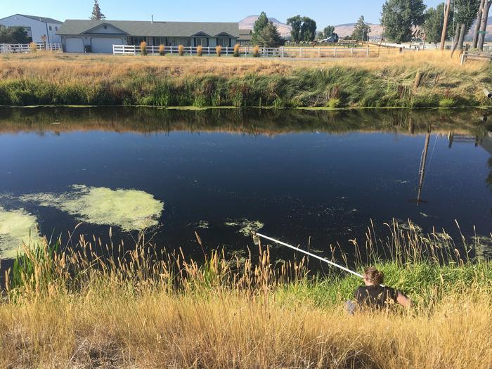 The study included samples from Upper Klamath Lake and surrounding canals serving agricultural fields. Shown here is graduate student, Lindsay Collart, carrying out water sampling. Photo provided by OSU College of Science.