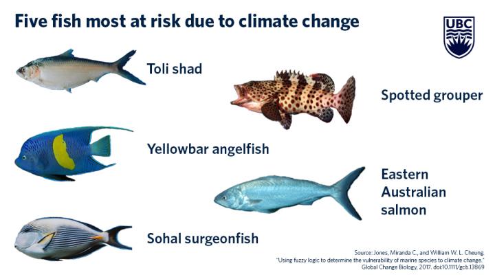 Five Fish Most Vulnerable to Climate Change
