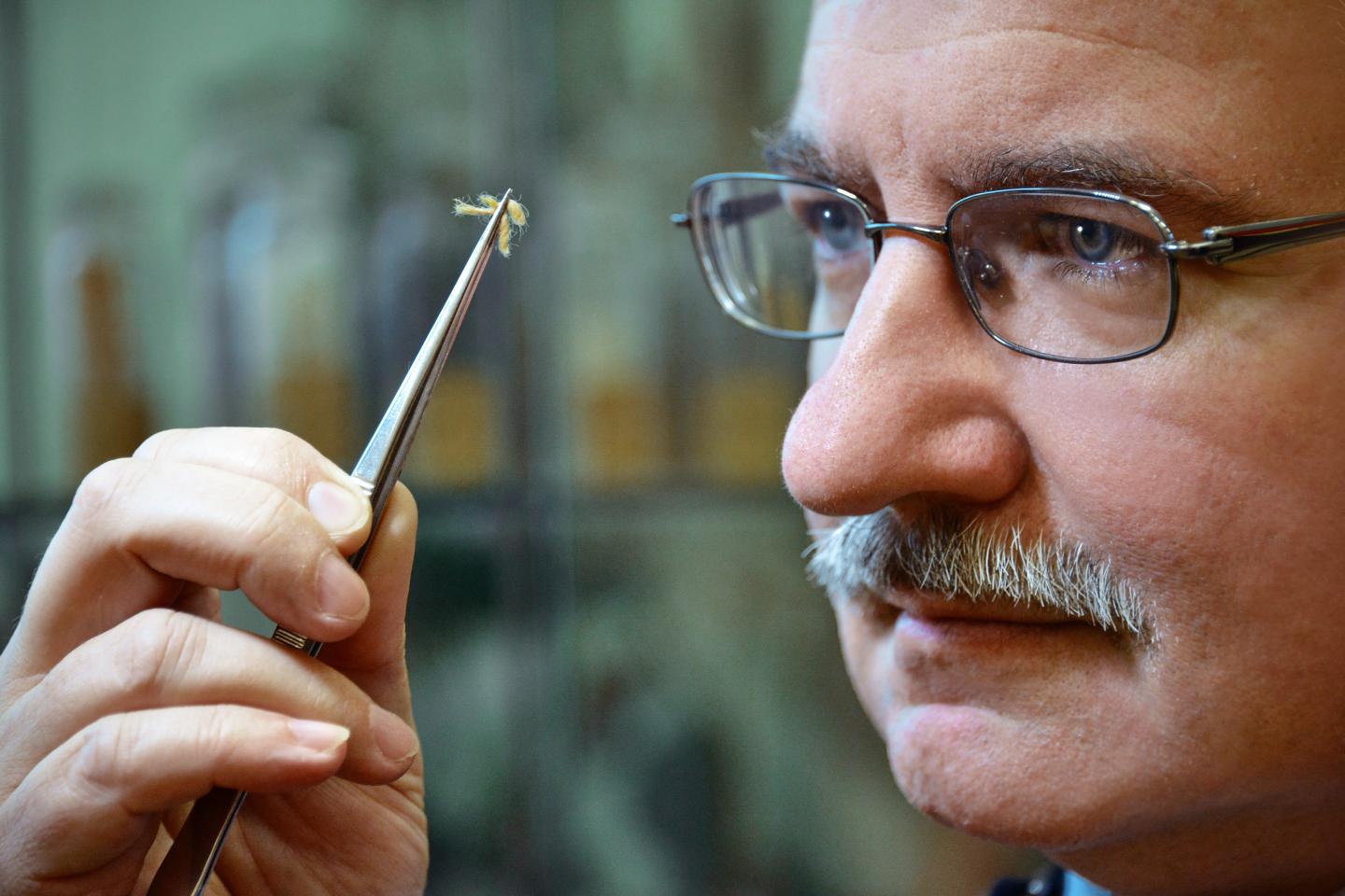 René Csuk, Martin-Luther-Universität Halle-Wittenberg