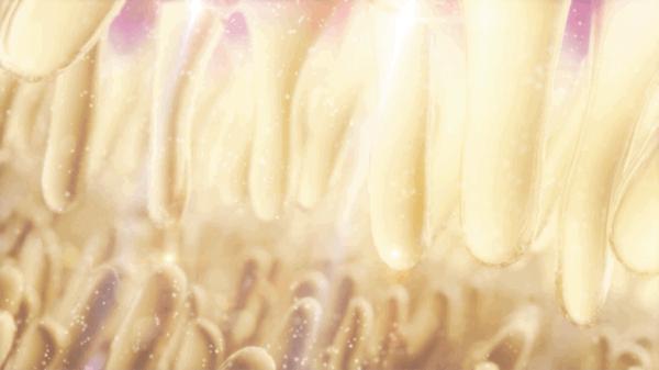 Animation of Pathway