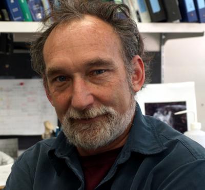 Neuroscientist Shawn Lockery