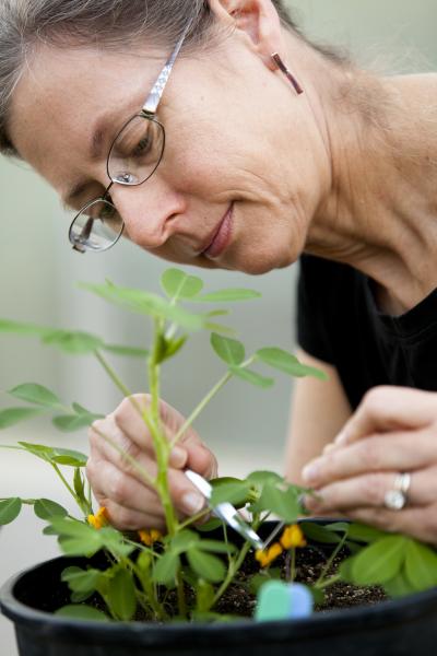 Peggy Ozias-Akins, University of Georgia