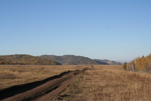 以少数树种和草原为主的针叶林横跨北半球的广大地区。这里：蒙古北部。