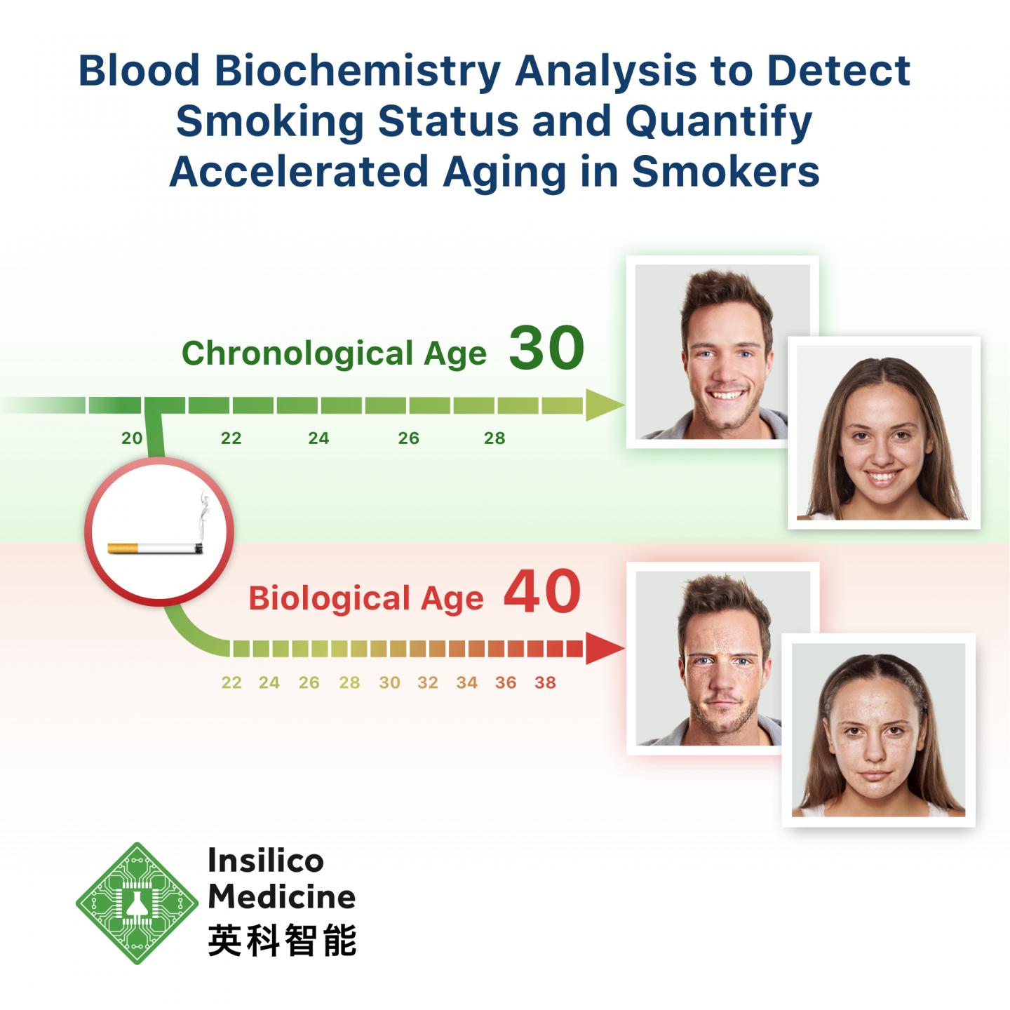 吸烟加速衰老进程