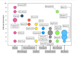 Complex networks