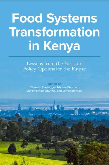 Food systems transformation in Kenya: Lessons from the past and policy options for the future
