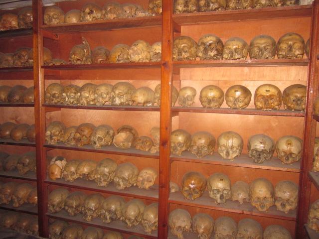 Part of the Skull Libraries of the Laboratory of Anthropological Studies
