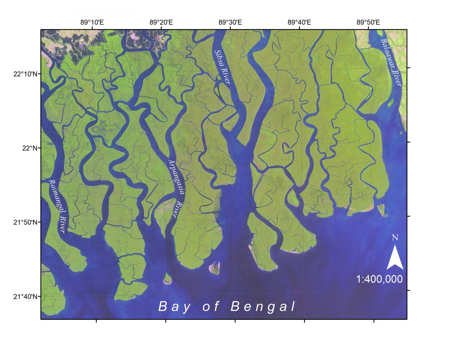 the Sundarbans in Bangladesh, the Most Extensive Mangrove Forests on Earth