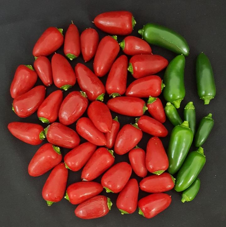 Jalapeño Peppers