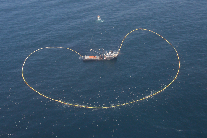 Peruvian industrial purse seiners