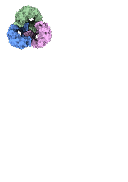 OmpK36 protein