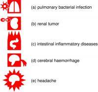 VCM Icons for Current Diseases and Signs, Risks and Antecedents