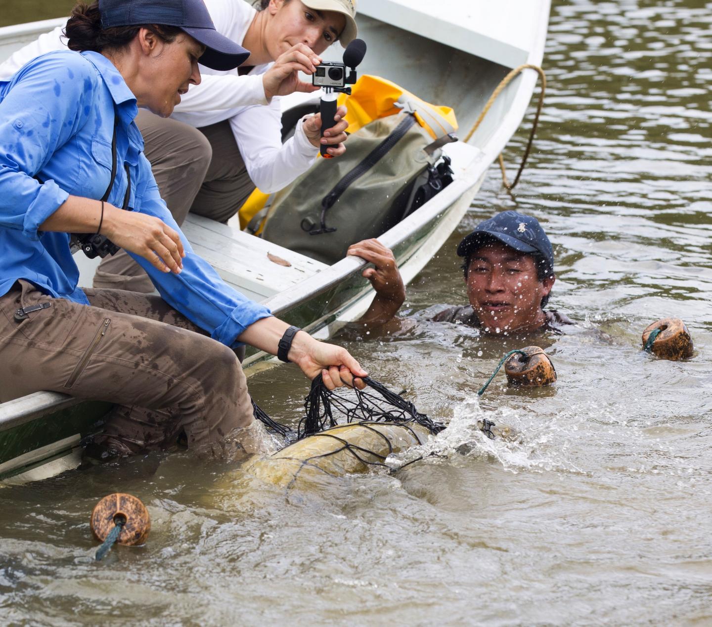 De Souza Netting an Arapaima