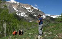 Three Researchers Count Wildflowers in Study Plots at the Rocky Mountain