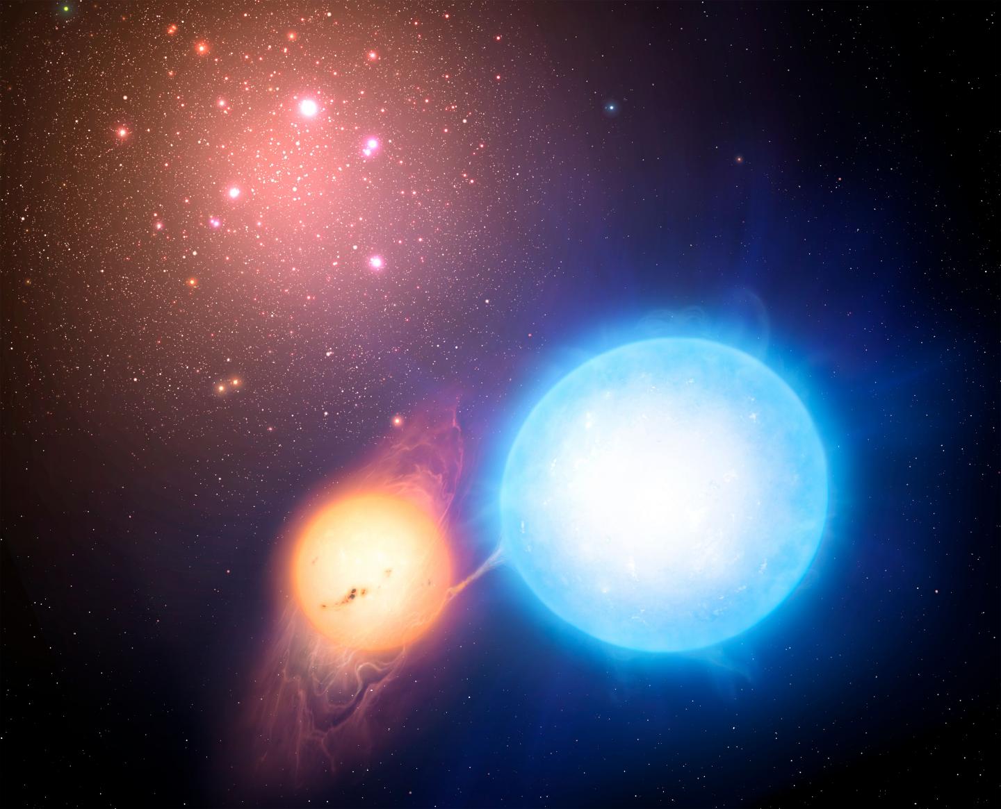 Binary Star Evolution within a Globular Cluster