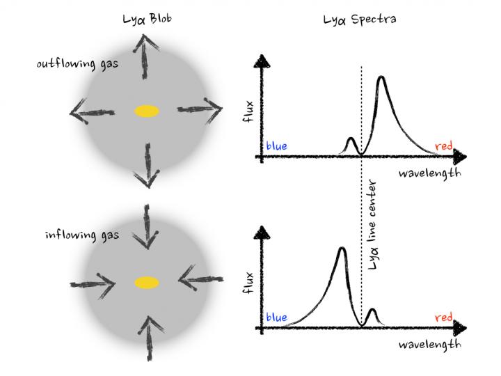 Outflowing gas shifts Lyman-alpha emission blue