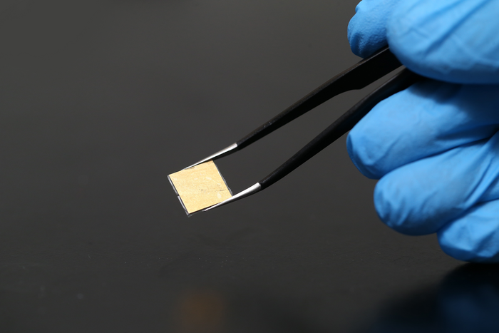 Small intestinal submucosa ultrathin film on substrate