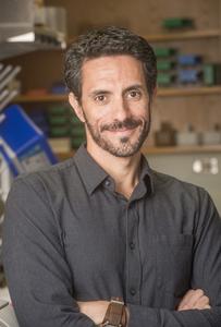 André Ballesteros-Tato, Ph.D.