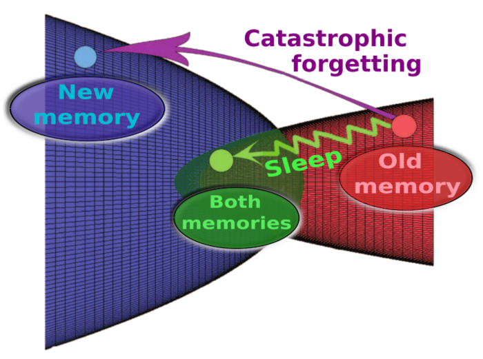 Inducing brain-like sleep in an artificial spiking neural network helps it to keep learning without “catastrophic forgetting”