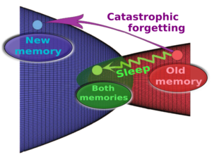 Inducing brain-like sleep in an artificial spiking neural network helps it to keep learning without “catastrophic forgetting”