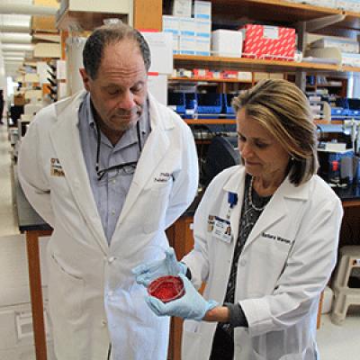 Phillip I. Tarr and Barbara B. Warner, Washington University School of Medicine