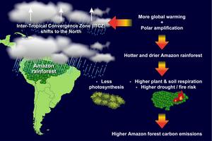 Schematic representation of the physical mechanisms of the climate-driven changes in carbon cycle in the Amazon forest region.