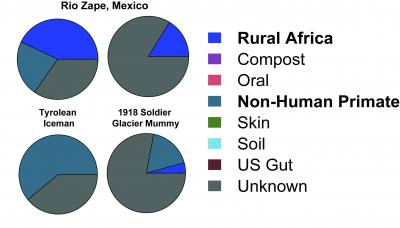 Microbiome Comparisons