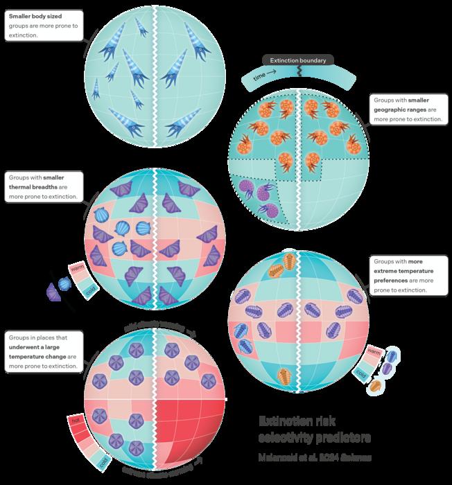 Infographic-  key traits and factors identified by the study that determine species risk to climate change-related extinction.