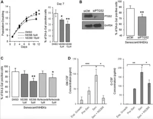 Prostaglandin E2 regulates senescence and post-senescence neoplastic escape in primary human keratinocytes