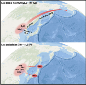 Evidence of Ice Age human migrations from China to the Americas and Japan