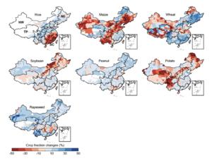 China crop swtich