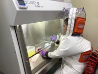 Researcher Conducts Tests on the Nanosponges