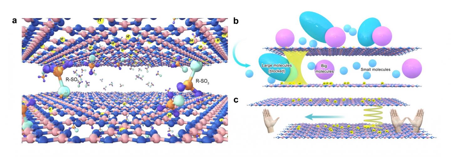Chiral Membrane