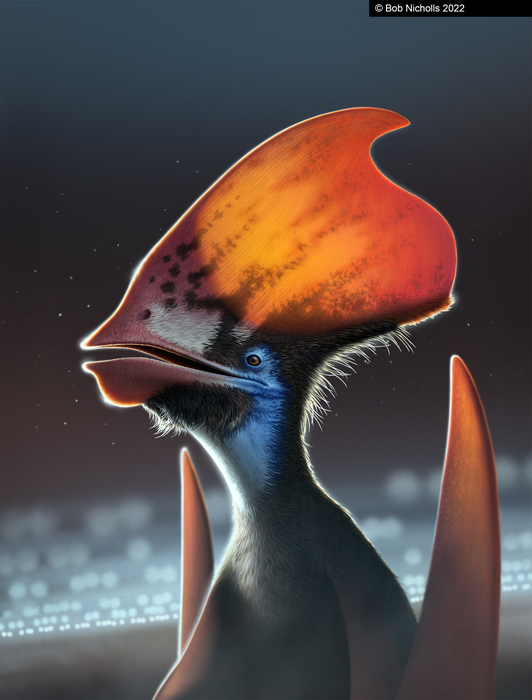 Pterosaurs PNG Image - PNG All